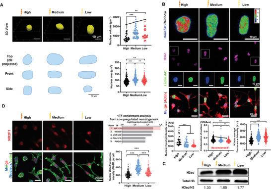 https://cdn.ncbi.nlm.nih.gov/pmc/blobs/8c62/11425260/874d5fe368f5/ADVS-11-2400586-g008.jpg
