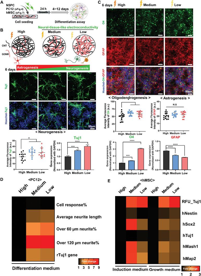 https://cdn.ncbi.nlm.nih.gov/pmc/blobs/8c62/11425260/c06d6b065aea/ADVS-11-2400586-g004.jpg