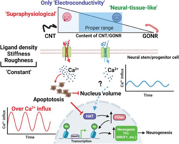 https://cdn.ncbi.nlm.nih.gov/pmc/blobs/8c62/11425260/ebf9e84fc683/ADVS-11-2400586-g002.jpg