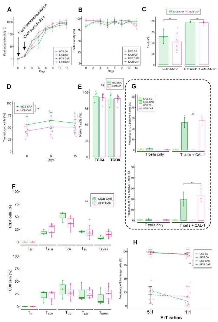 https://cdn.ncbi.nlm.nih.gov/pmc/blobs/8c62/9264759/0a668373c056/cancers-14-03168-g005.jpg