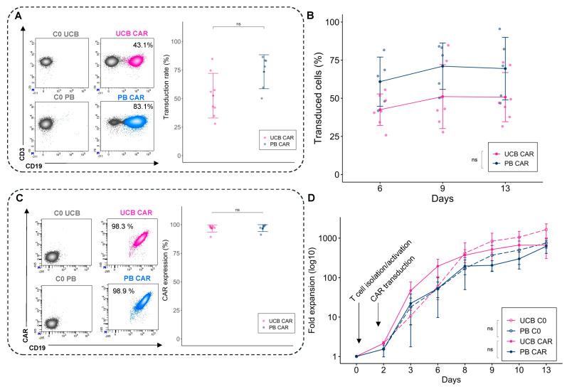 https://cdn.ncbi.nlm.nih.gov/pmc/blobs/8c62/9264759/dc3c7c80255d/cancers-14-03168-g001.jpg