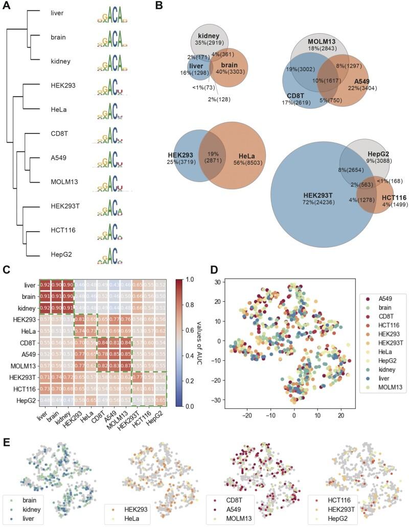 https://cdn.ncbi.nlm.nih.gov/pmc/blobs/8c63/10697738/918b09504127/btad709f4.jpg