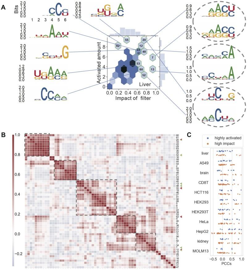 https://cdn.ncbi.nlm.nih.gov/pmc/blobs/8c63/10697738/cd1f48178b47/btad709f5.jpg