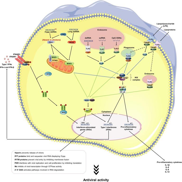 https://cdn.ncbi.nlm.nih.gov/pmc/blobs/8c65/7129915/c67912de563d/gr1_lrg.jpg
