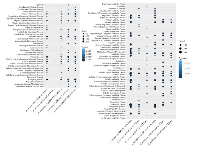 https://cdn.ncbi.nlm.nih.gov/pmc/blobs/8c66/12210461/9418bf47aafa/12864_2025_11779_Fig3_HTML.jpg