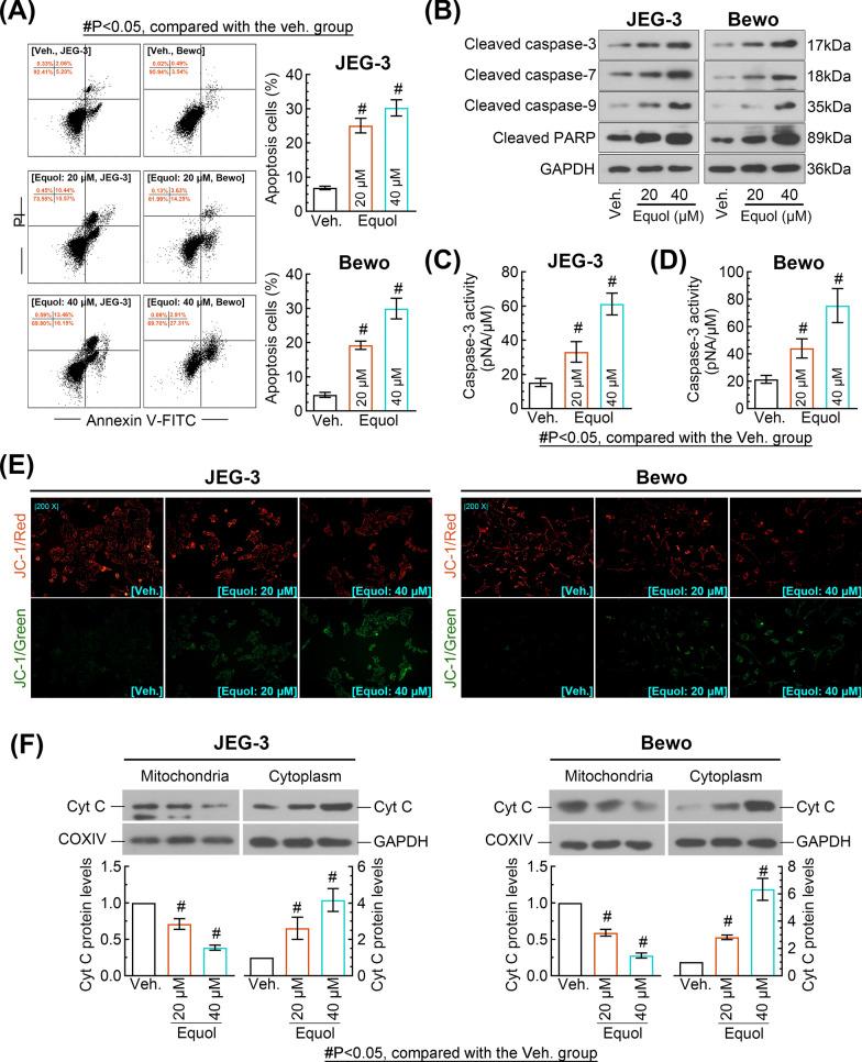 https://cdn.ncbi.nlm.nih.gov/pmc/blobs/8c68/11378480/af94c51f55fc/13062_2024_519_Fig3_HTML.jpg