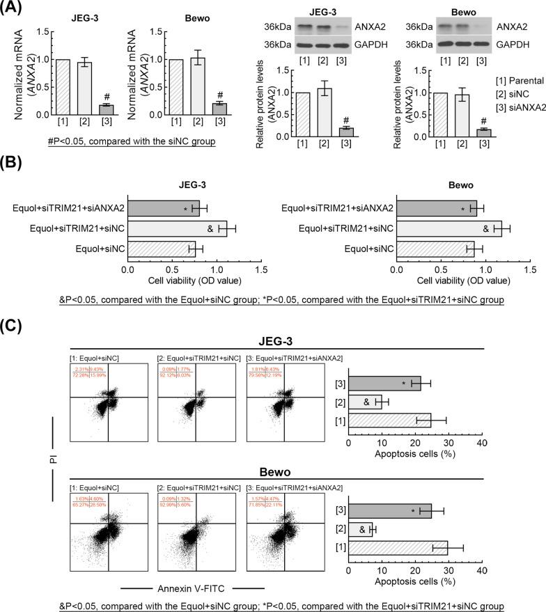 https://cdn.ncbi.nlm.nih.gov/pmc/blobs/8c68/11378480/f5d6b0d08c0e/13062_2024_519_Fig7_HTML.jpg