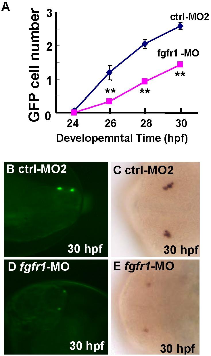 https://cdn.ncbi.nlm.nih.gov/pmc/blobs/8c68/4039432/51da6983ec38/pone.0095545.g007.jpg