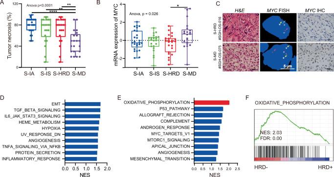 https://cdn.ncbi.nlm.nih.gov/pmc/blobs/8c68/9684515/30a3c5d08d11/41467_2022_34689_Fig5_HTML.jpg