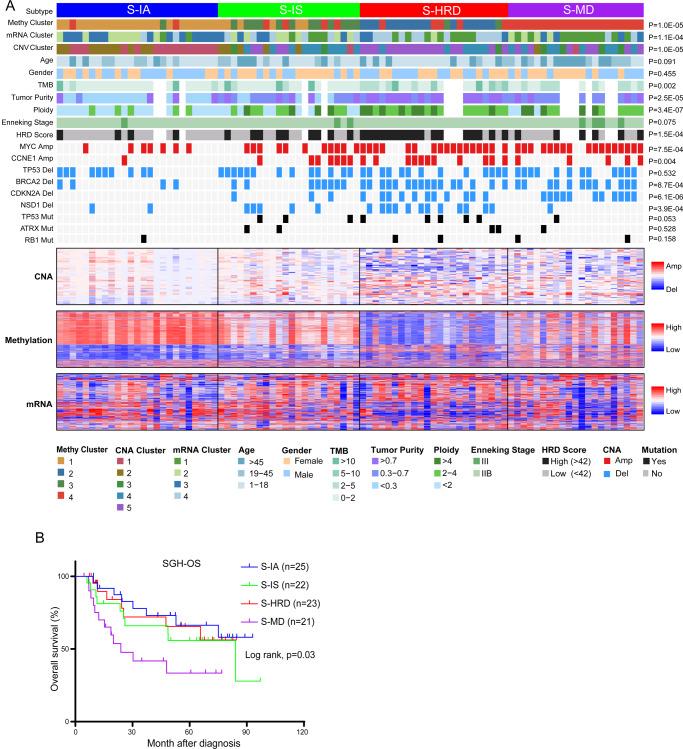 https://cdn.ncbi.nlm.nih.gov/pmc/blobs/8c68/9684515/9391e4cba61d/41467_2022_34689_Fig4_HTML.jpg