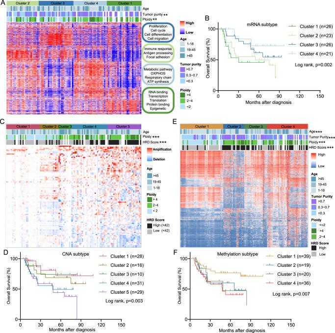 https://cdn.ncbi.nlm.nih.gov/pmc/blobs/8c68/9684515/adefdfa54917/41467_2022_34689_Fig3_HTML.jpg