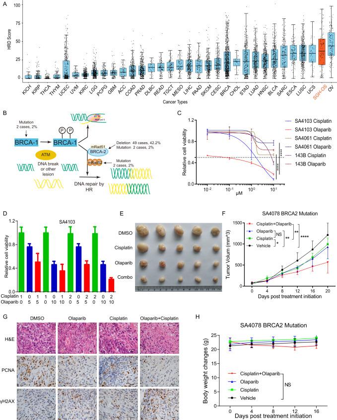 https://cdn.ncbi.nlm.nih.gov/pmc/blobs/8c68/9684515/cfdd24f73b07/41467_2022_34689_Fig7_HTML.jpg