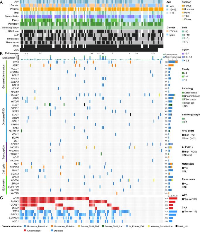 https://cdn.ncbi.nlm.nih.gov/pmc/blobs/8c68/9684515/d772997969f2/41467_2022_34689_Fig1_HTML.jpg