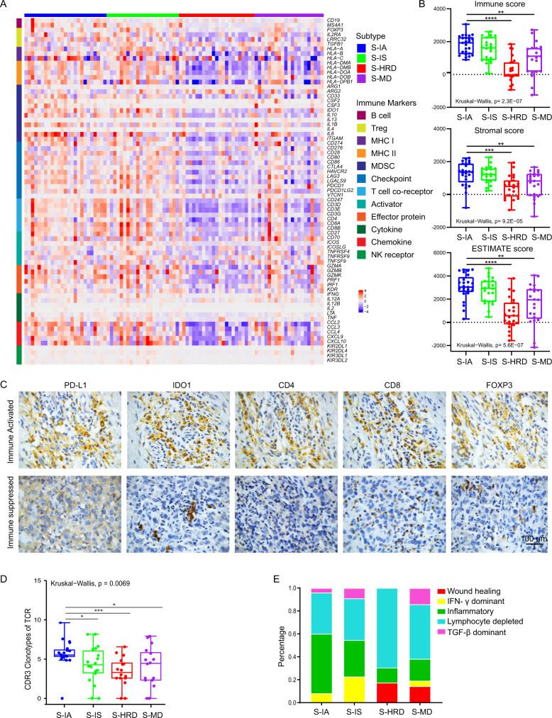 https://cdn.ncbi.nlm.nih.gov/pmc/blobs/8c68/9684515/f454f7b05c8b/41467_2022_34689_Fig6_HTML.jpg