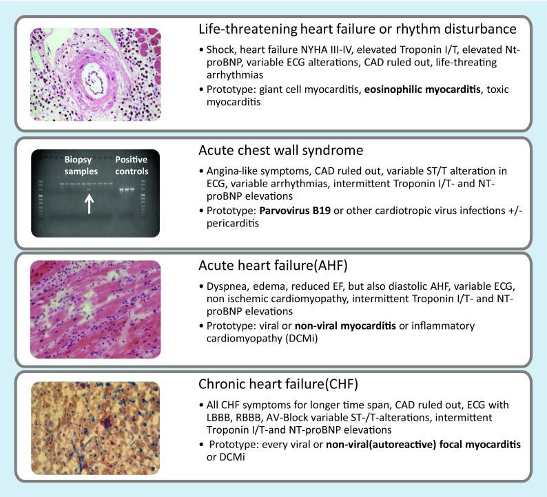 https://cdn.ncbi.nlm.nih.gov/pmc/blobs/8c69/6096625/cfeedf19bbd5/59_2018_4719_Fig1_HTML.jpg