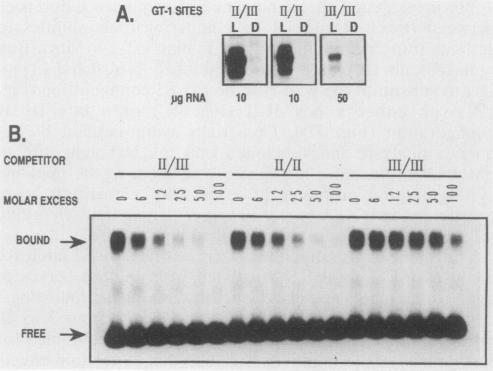 https://cdn.ncbi.nlm.nih.gov/pmc/blobs/8c6b/361276/80cbd8070aac/molcellb00046-0550-a.jpg