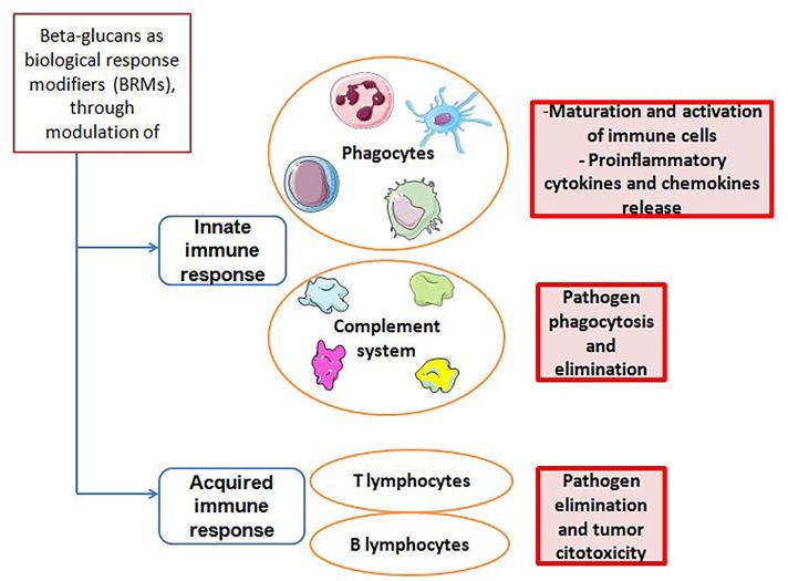 https://cdn.ncbi.nlm.nih.gov/pmc/blobs/8c6c/9400766/054f1e91f68c/etat-02-100236-g001.jpg