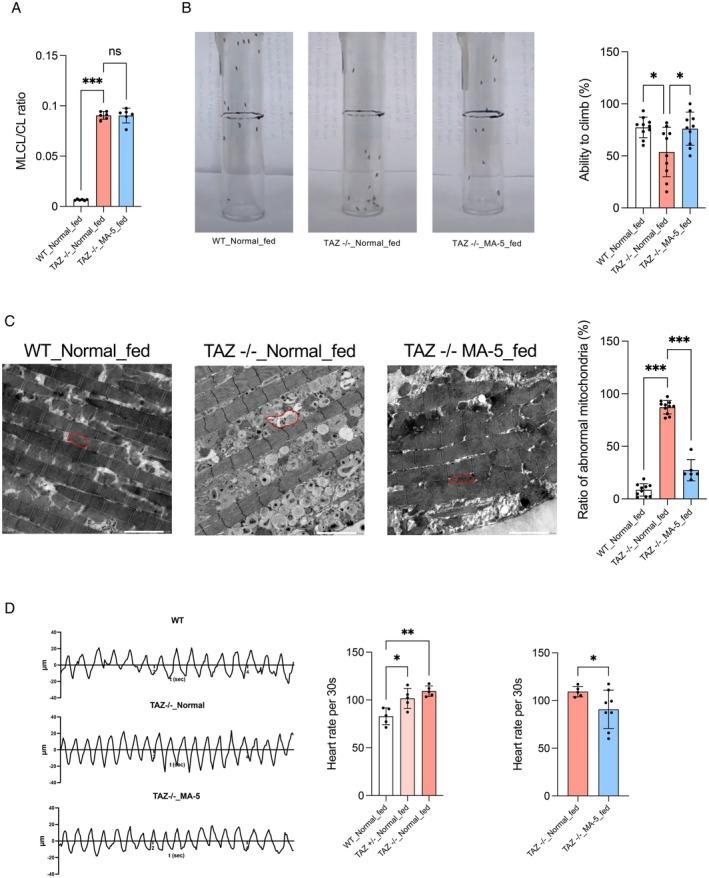 https://cdn.ncbi.nlm.nih.gov/pmc/blobs/8c70/12181814/a56d806dce58/FSB2-39-e70739-g007.jpg