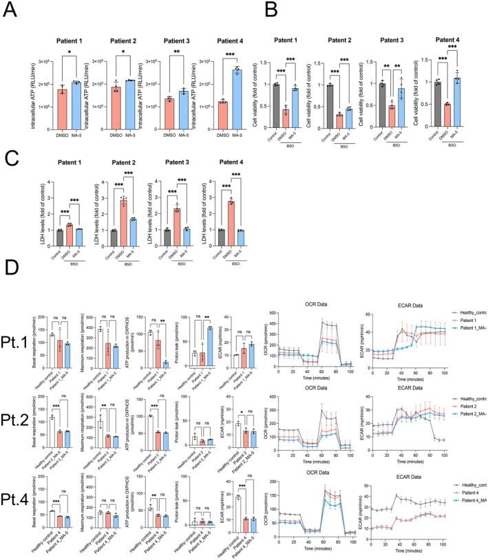 https://cdn.ncbi.nlm.nih.gov/pmc/blobs/8c70/12181814/d8d0080467e3/FSB2-39-e70739-g004.jpg