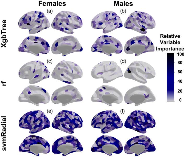 https://cdn.ncbi.nlm.nih.gov/pmc/blobs/8c70/9812239/2bed2373967d/HBM-43-5126-g005.jpg