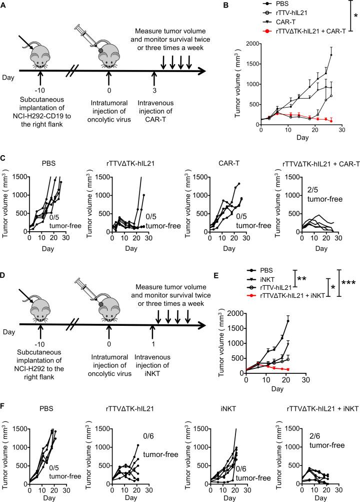 https://cdn.ncbi.nlm.nih.gov/pmc/blobs/8c71/7843316/72cd2138cffc/jitc-2020-001647f05.jpg