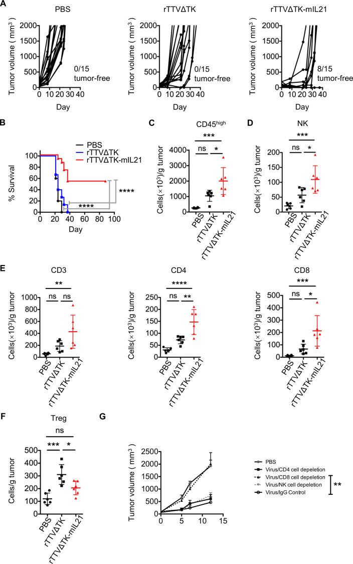 https://cdn.ncbi.nlm.nih.gov/pmc/blobs/8c71/7843316/88212e8d6c40/jitc-2020-001647f03.jpg