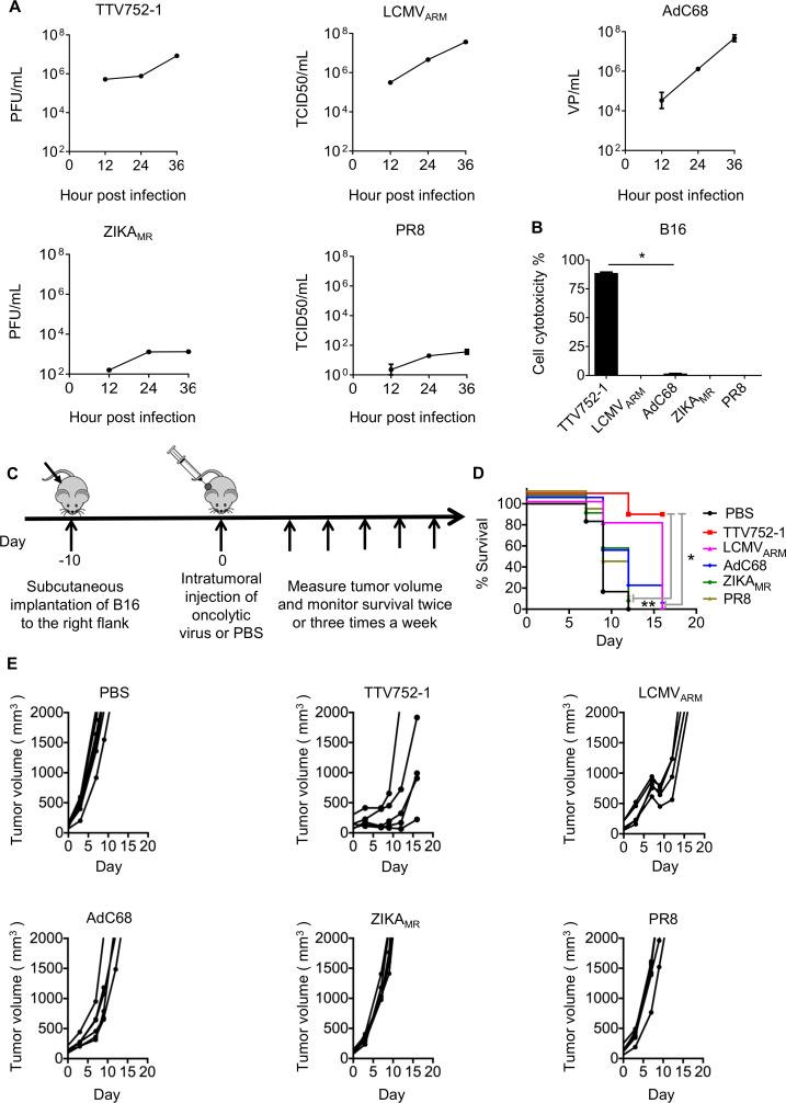 https://cdn.ncbi.nlm.nih.gov/pmc/blobs/8c71/7843316/cf839a87a85a/jitc-2020-001647f01.jpg