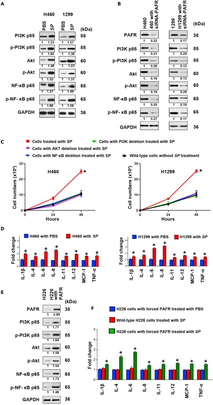 https://cdn.ncbi.nlm.nih.gov/pmc/blobs/8c73/9852931/4f472950611d/gr3.jpg