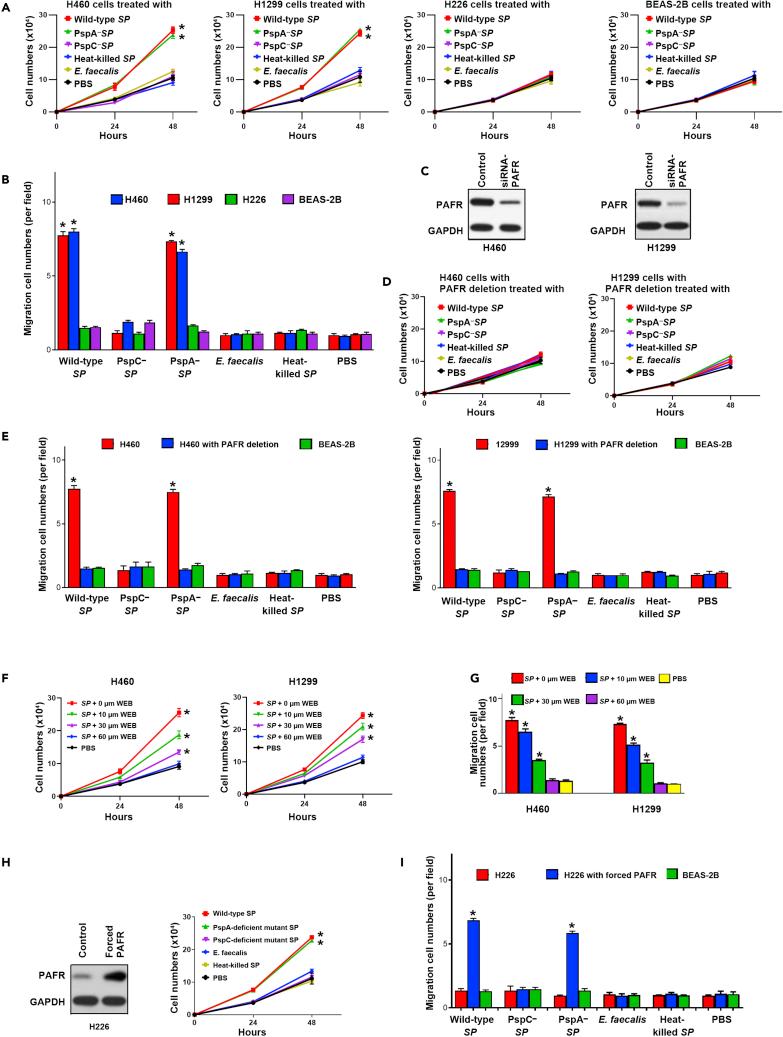 https://cdn.ncbi.nlm.nih.gov/pmc/blobs/8c73/9852931/7da612c073fa/gr2.jpg