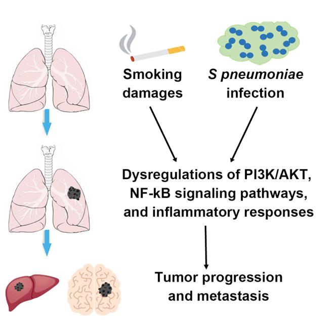 https://cdn.ncbi.nlm.nih.gov/pmc/blobs/8c73/9852931/8522bc25460d/fx1.jpg