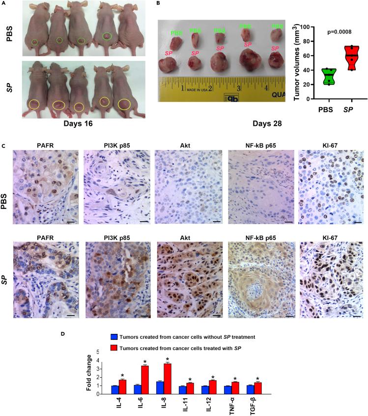 https://cdn.ncbi.nlm.nih.gov/pmc/blobs/8c73/9852931/a80f79fd8fd9/gr4.jpg