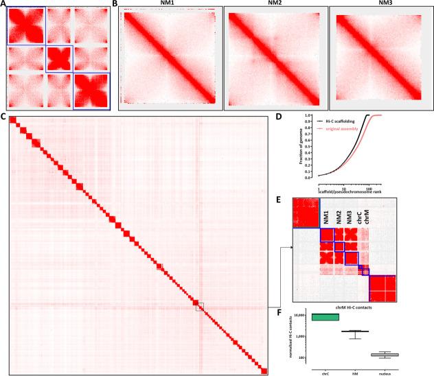 https://cdn.ncbi.nlm.nih.gov/pmc/blobs/8c74/8887012/62b48bf784e6/13059_2022_2639_Fig4_HTML.jpg