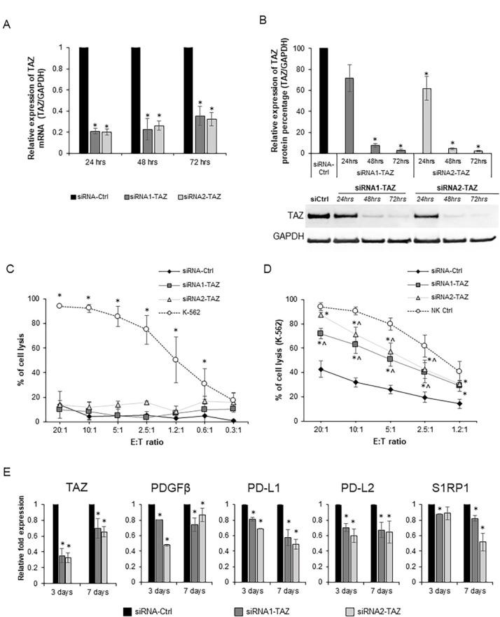 https://cdn.ncbi.nlm.nih.gov/pmc/blobs/8c77/7813384/8245bc93154a/jitc-2020-001313f06.jpg