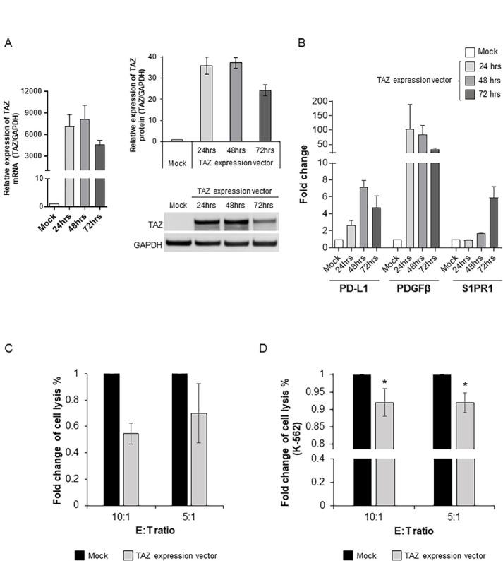 https://cdn.ncbi.nlm.nih.gov/pmc/blobs/8c77/7813384/be3782646d67/jitc-2020-001313f07.jpg