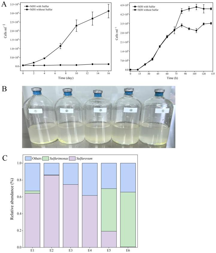 https://cdn.ncbi.nlm.nih.gov/pmc/blobs/8c78/12113678/69499cd75191/microorganisms-13-01028-g002.jpg