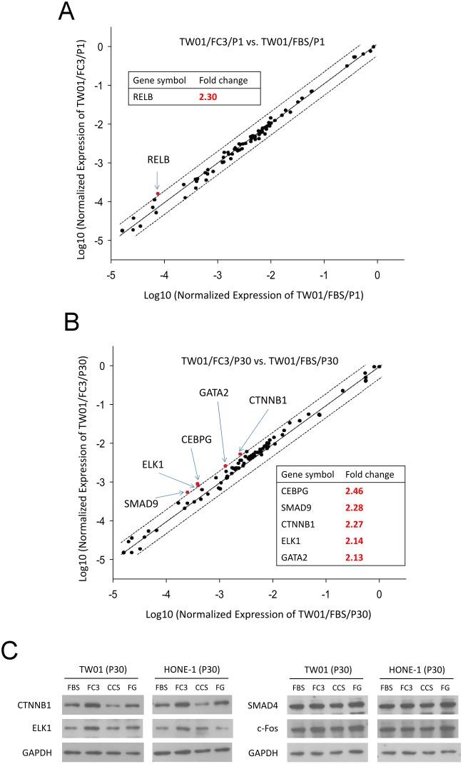 https://cdn.ncbi.nlm.nih.gov/pmc/blobs/8c7a/5462426/87938ef5ffc3/pone.0178960.g014.jpg