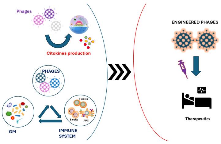 https://cdn.ncbi.nlm.nih.gov/pmc/blobs/8c7b/12109214/99d242e4b159/biomedicines-13-01202-g002.jpg