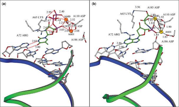 https://cdn.ncbi.nlm.nih.gov/pmc/blobs/8c7b/1976459/1656074cb266/gkm498f13.jpg