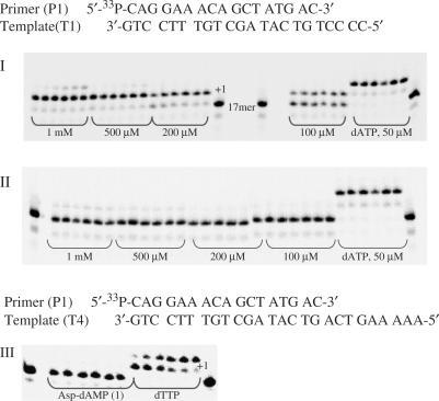 https://cdn.ncbi.nlm.nih.gov/pmc/blobs/8c7b/1976459/a525c0089871/gkm498f2.jpg