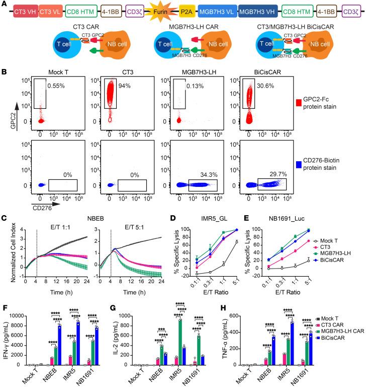 https://cdn.ncbi.nlm.nih.gov/pmc/blobs/8c7b/9374382/1e925b93be28/jci-132-155621-g098.jpg