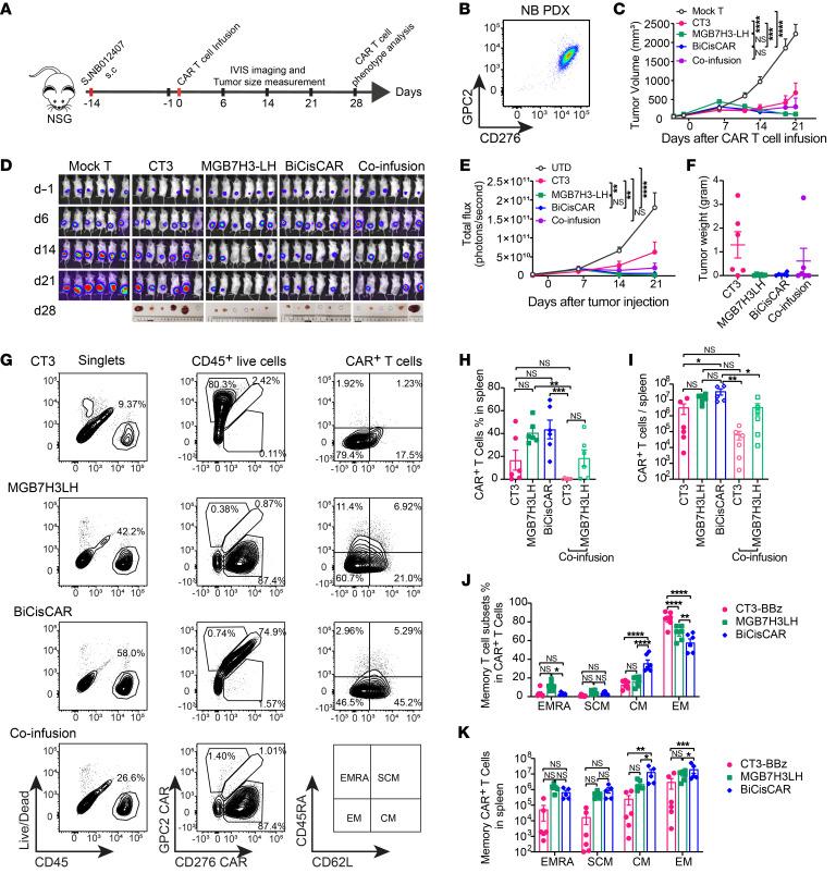 https://cdn.ncbi.nlm.nih.gov/pmc/blobs/8c7b/9374382/24a866ac1cb2/jci-132-155621-g100.jpg