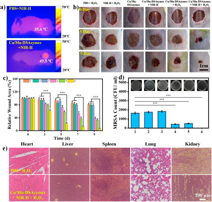 https://cdn.ncbi.nlm.nih.gov/pmc/blobs/8c7c/10900182/12d509c5be4f/d3ra08431k-f6.jpg