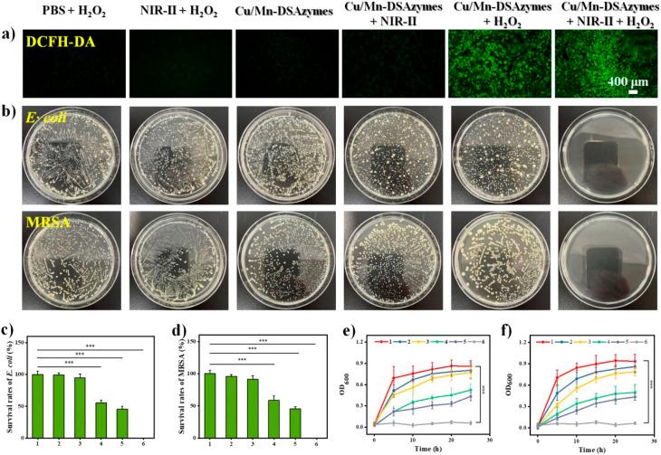 https://cdn.ncbi.nlm.nih.gov/pmc/blobs/8c7c/10900182/d059711547f6/d3ra08431k-f3.jpg