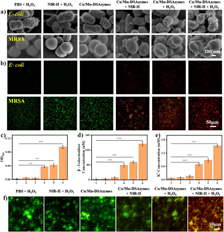 https://cdn.ncbi.nlm.nih.gov/pmc/blobs/8c7c/10900182/f53ea3c5ac4b/d3ra08431k-f4.jpg