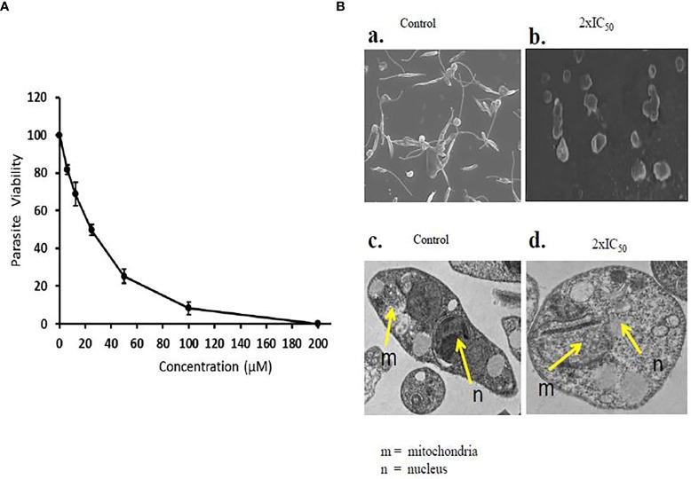 https://cdn.ncbi.nlm.nih.gov/pmc/blobs/8c7c/8581470/6d59f43ac3c0/fcimb-11-749420-g001.jpg
