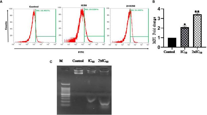 https://cdn.ncbi.nlm.nih.gov/pmc/blobs/8c7c/8581470/81cbd7f2788a/fcimb-11-749420-g005.jpg
