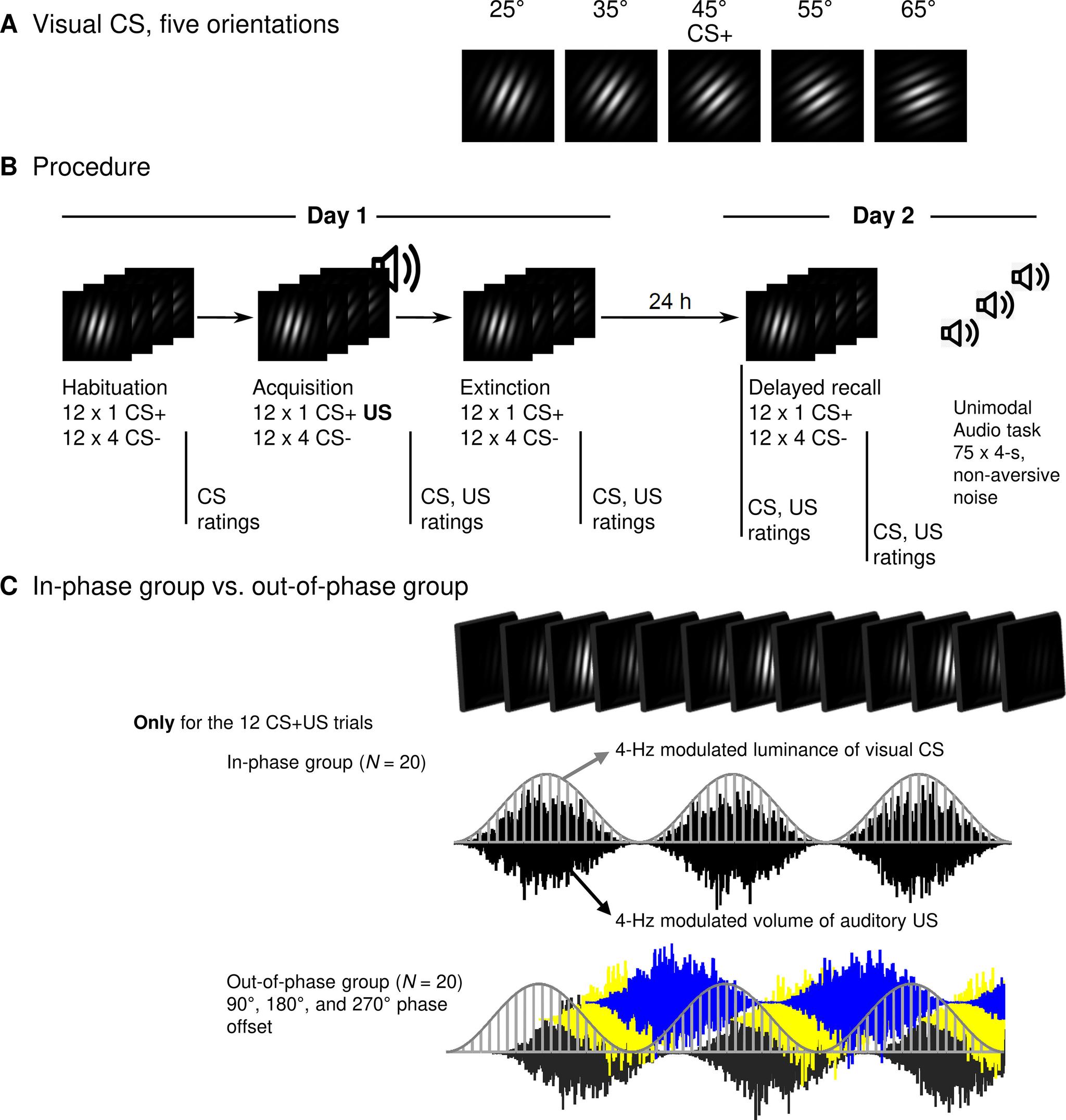 https://cdn.ncbi.nlm.nih.gov/pmc/blobs/8c7c/8751852/0bd1708808f5/ENEURO.0538-20.2021_f001.jpg