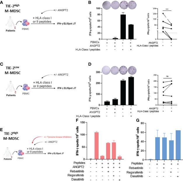 https://cdn.ncbi.nlm.nih.gov/pmc/blobs/8c7f/9353943/6f1f7db33b20/fimmu-13-932298-g004.jpg