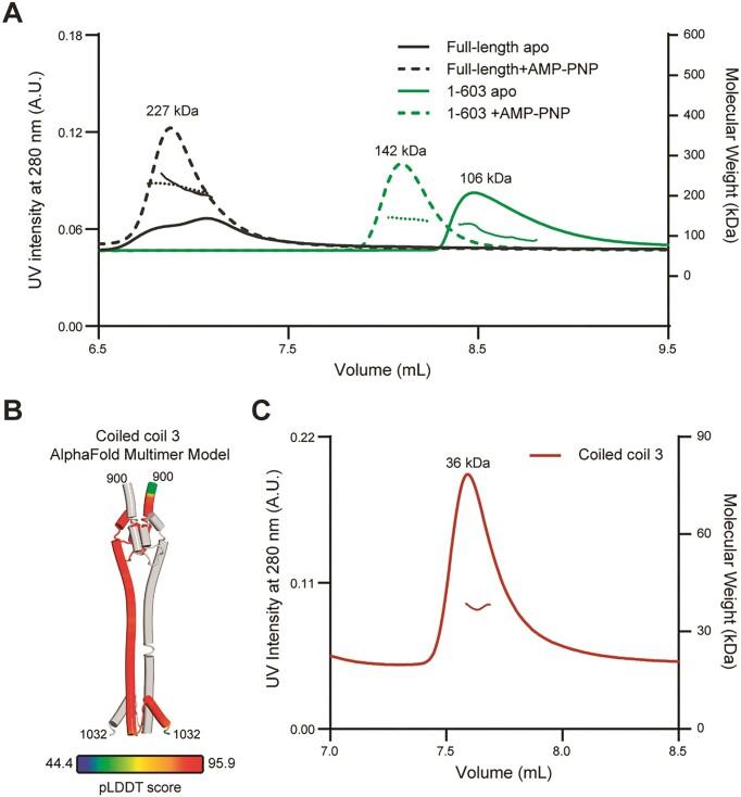 https://cdn.ncbi.nlm.nih.gov/pmc/blobs/8c81/11879086/47405cb0f254/gkae1273fig3.jpg