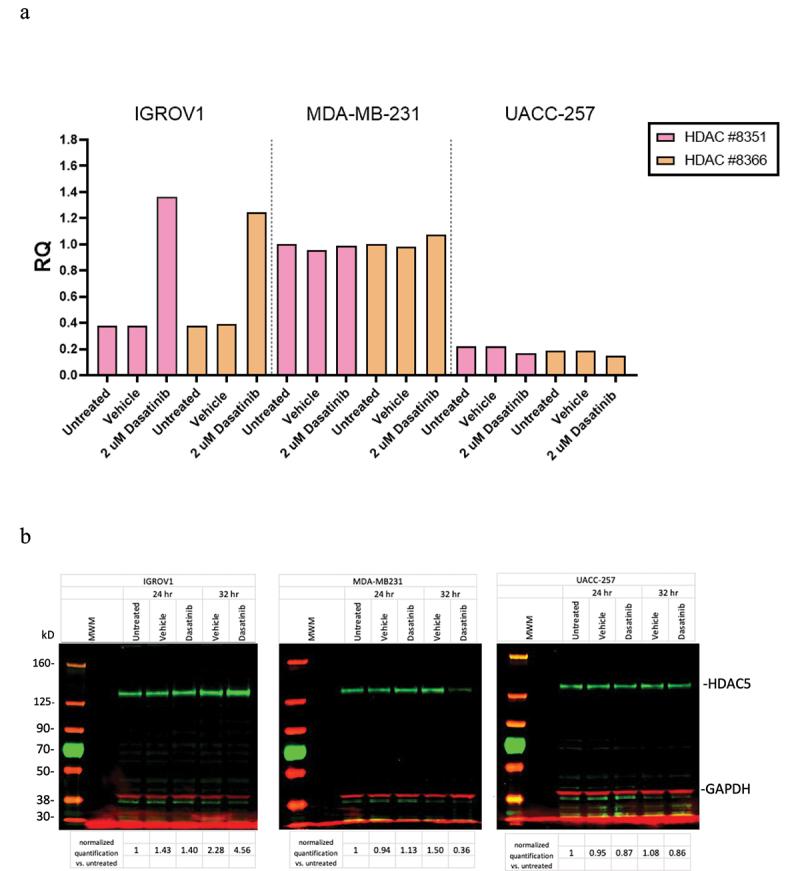 https://cdn.ncbi.nlm.nih.gov/pmc/blobs/8c85/10878021/765018087ca2/KEPI_A_2309824_F0002_OC.jpg